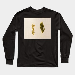 Of Life and Death, Macro of cicada on dry grass Long Sleeve T-Shirt